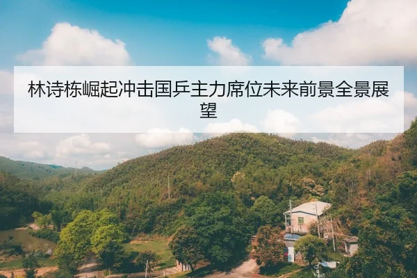 林诗栋崛起冲击国乒主力席位未来前景全景展望